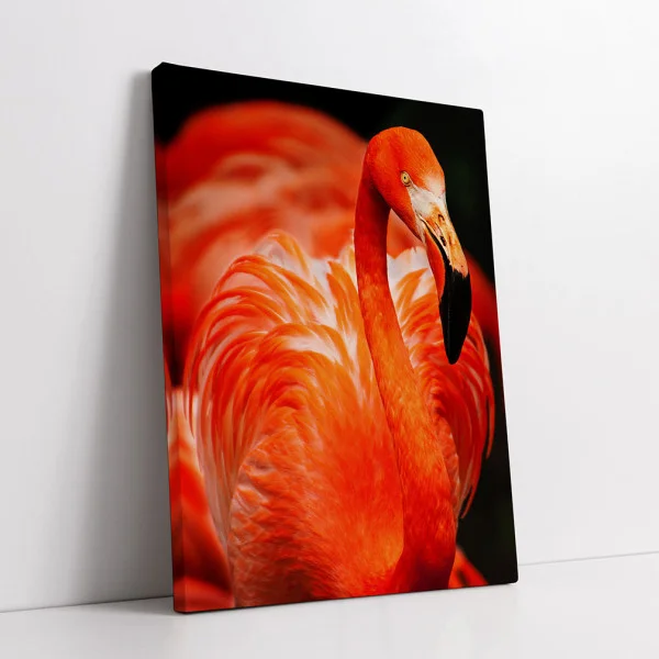 Flamingo în Culori Vii - Tablou Păsări
