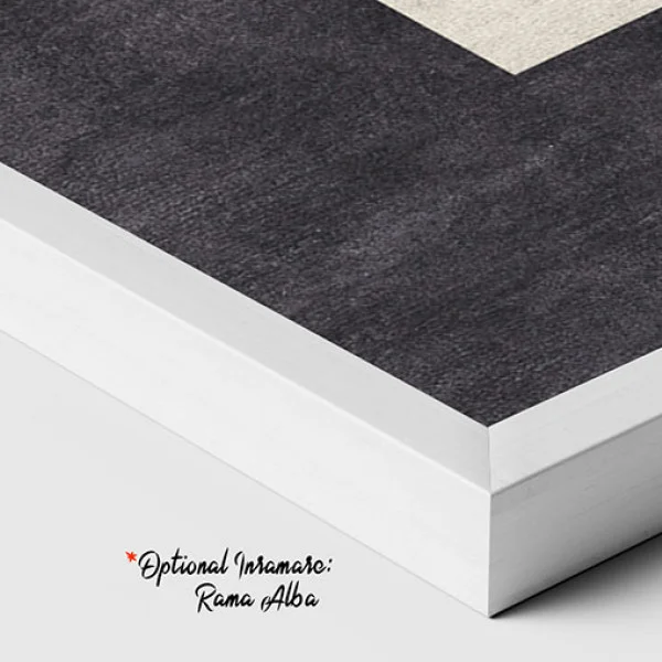 Forme si Viziuni - Tablou geometric