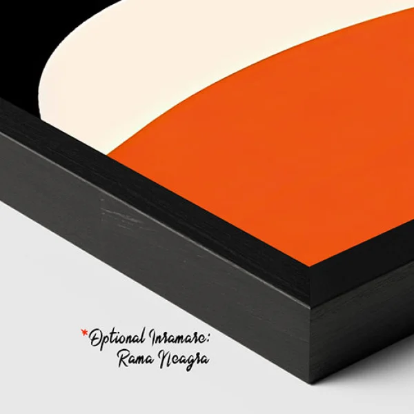 Contururi si Siluete - Tablou geometric