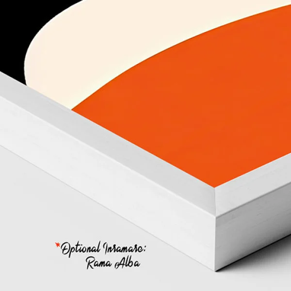 Contururi si Siluete - Tablou geometric