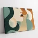 Evolutia Frumusetii - Tablou geometric