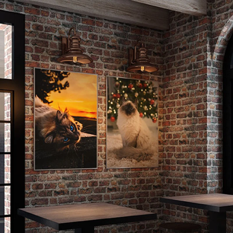 Blue Eyes - Set 2 Tablouri