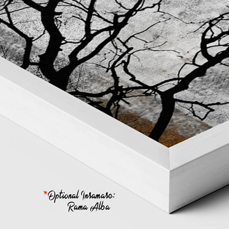 Umbra unui Copac - Tablou Abstract Umbra unui Copac - Tablou Abstract