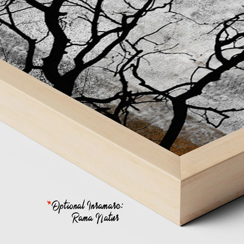 Umbra unui Copac - Tablou Abstract Umbra unui Copac - Tablou Abstract