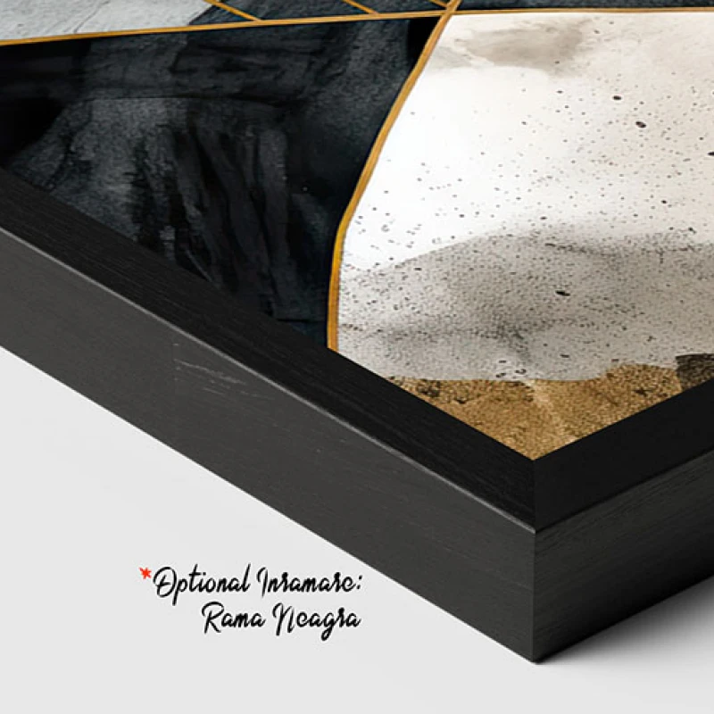 Raze Sfioase - Tablou Abstract