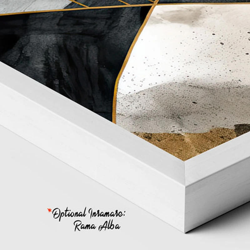 Raze Sfioase - Tablou Abstract
