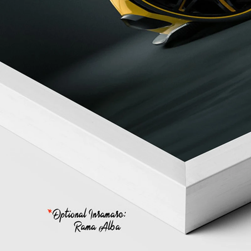 Stralucirea Performantei - Tablou auto