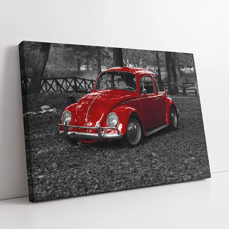 Contrast Toamnatic - Tablou auto