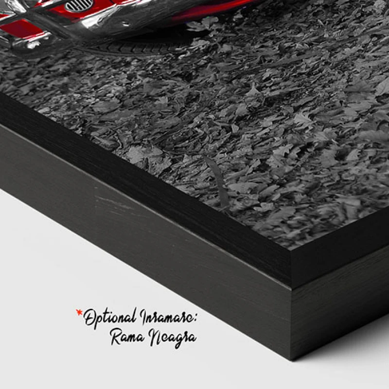 Contrast Toamnatic - Tablou auto