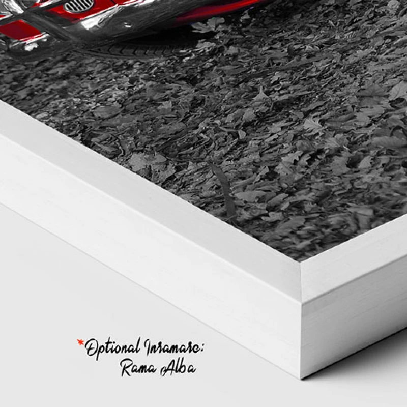 Contrast Toamnatic - Tablou auto