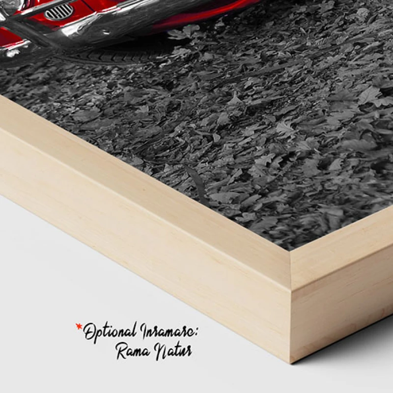 Contrast Toamnatic - Tablou auto