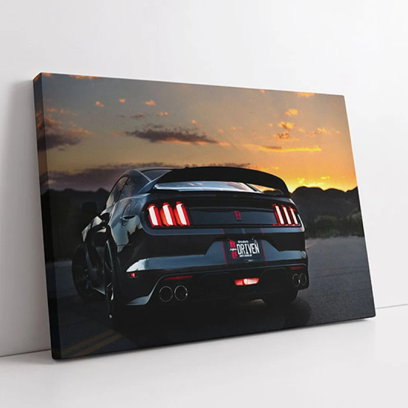 Forta la Asfintit - Tablou auto