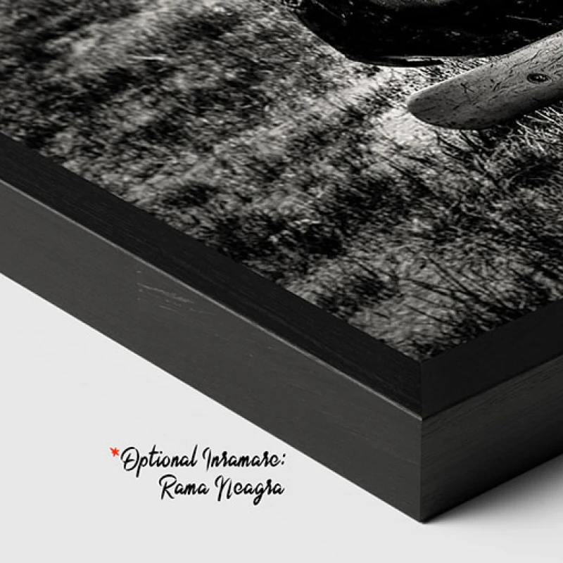 Franturi de Istorie - Tablou auto