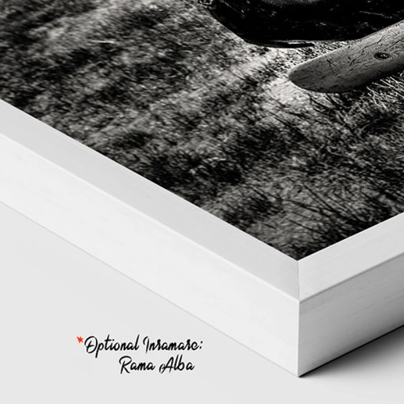 Franturi de Istorie - Tablou auto