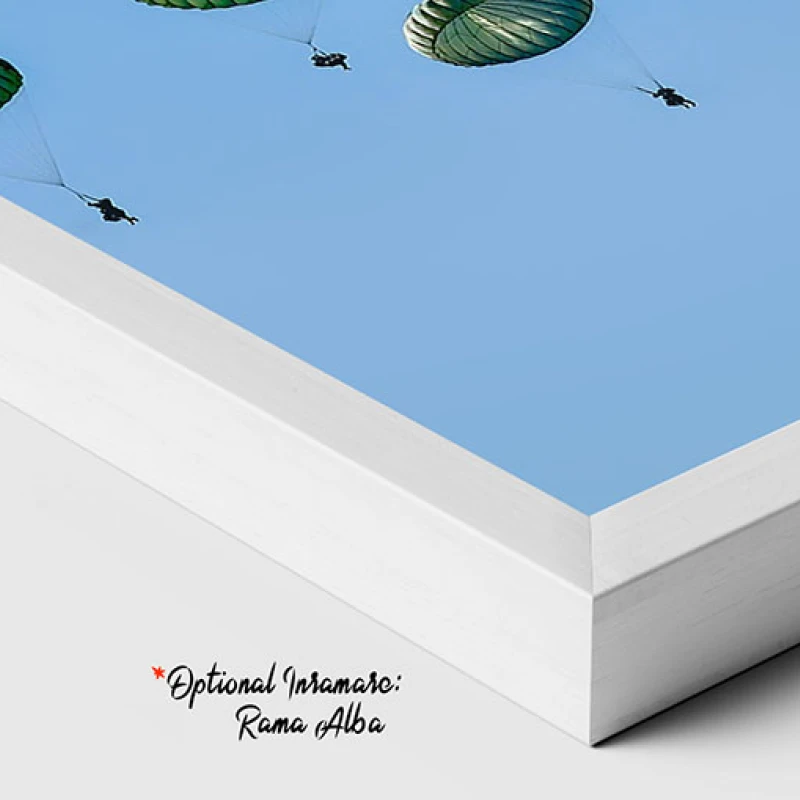 Momente Suspendate - Tablou avioane