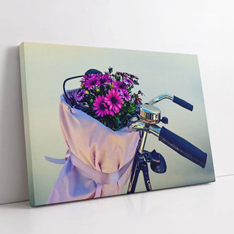 Calatorie Florala - Tablou biciclete