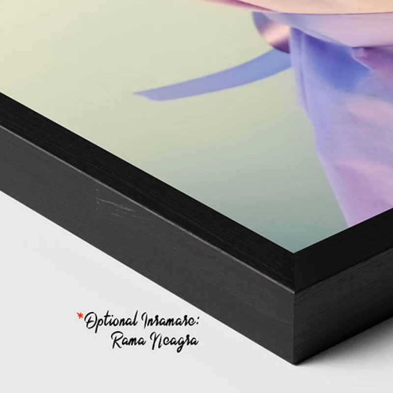 Calatorie Florala - Tablou biciclete