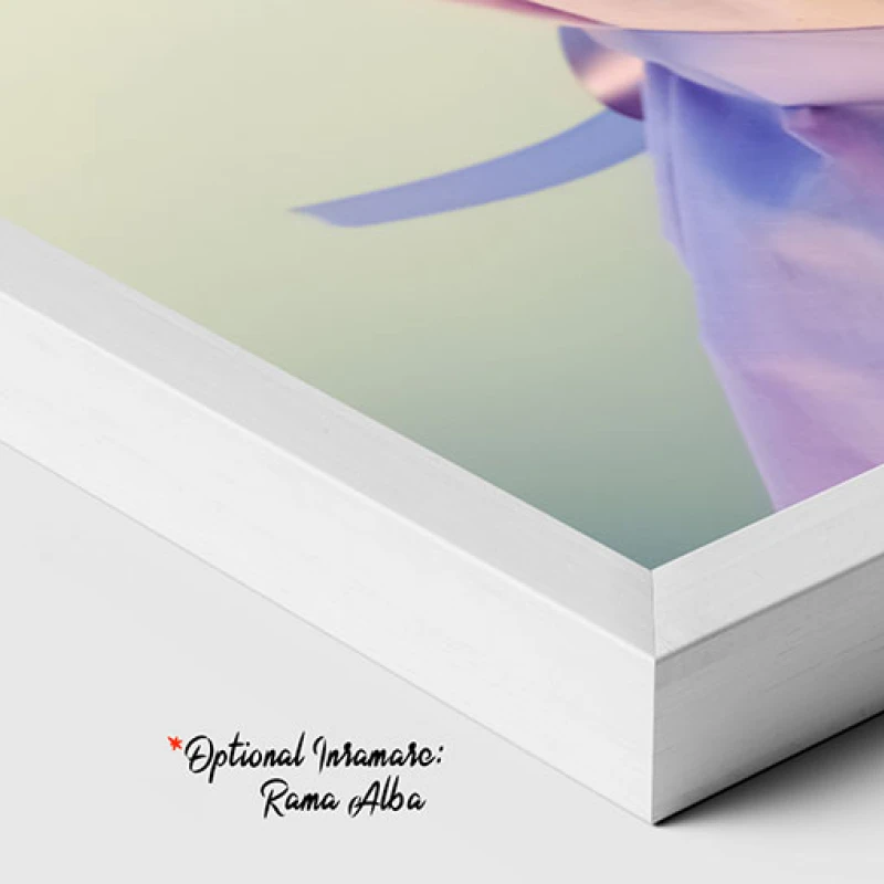 Calatorie Florala - Tablou biciclete