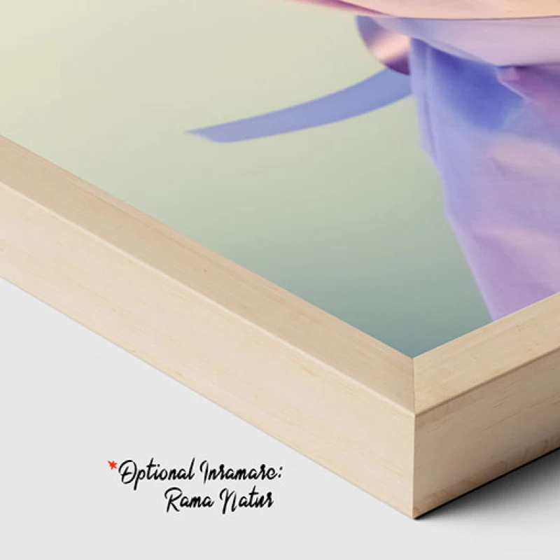 Calatorie Florala - Tablou biciclete