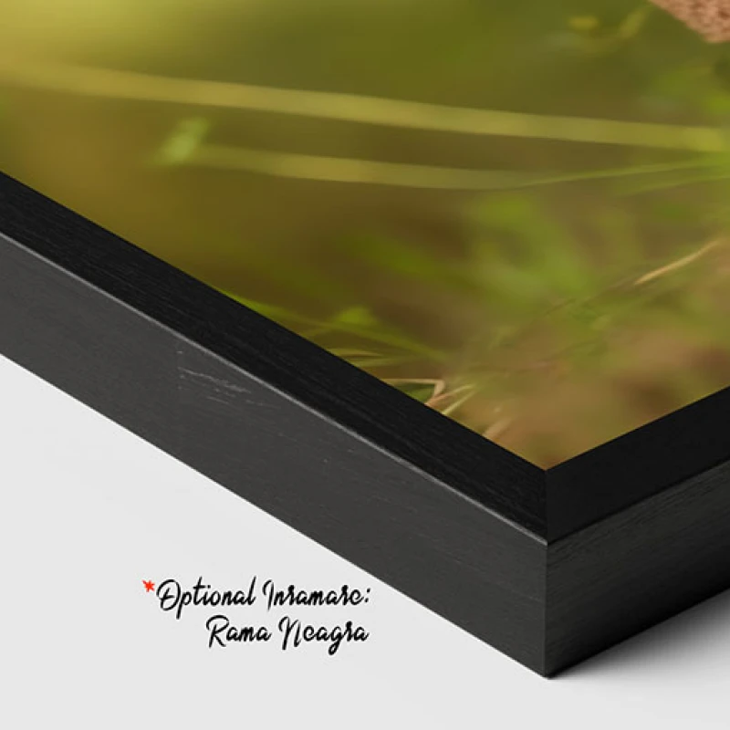 Bucurie Intr-o Lume Crosetata - Tablou camera copiilor