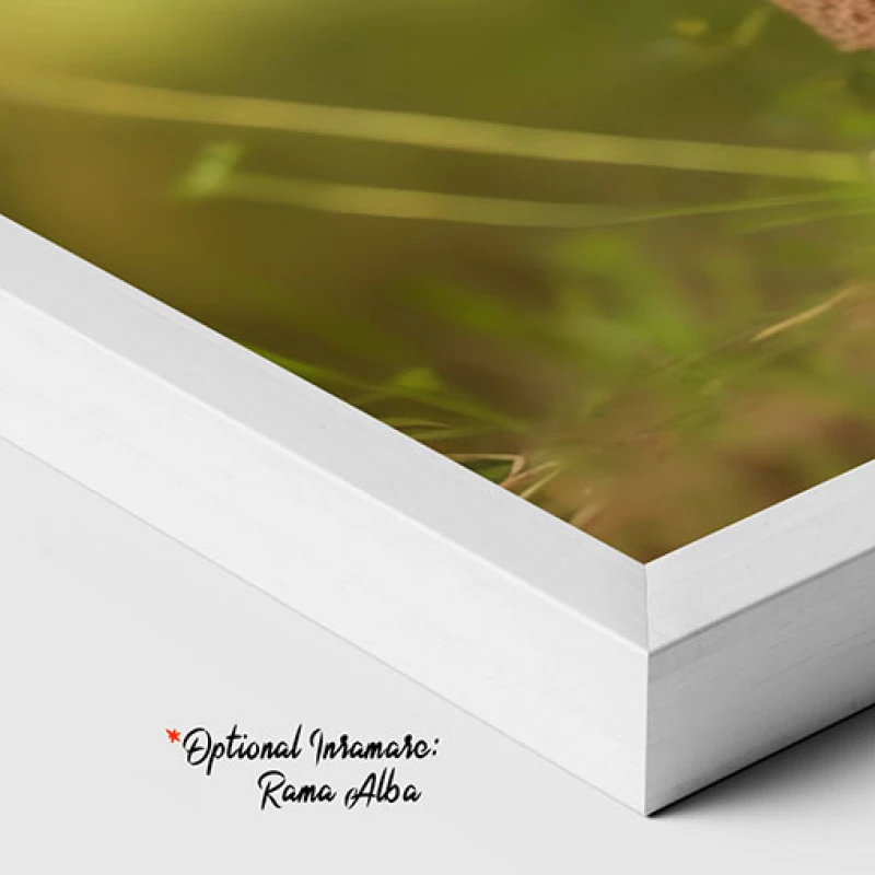 Bucurie Intr-o Lume Crosetata - Tablou camera copiilor