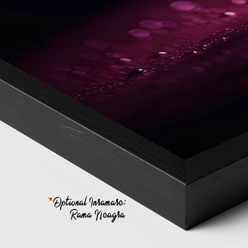 Felii de portocala - Tablou Food