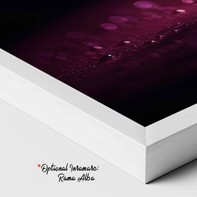 Felii de portocala - Tablou Food