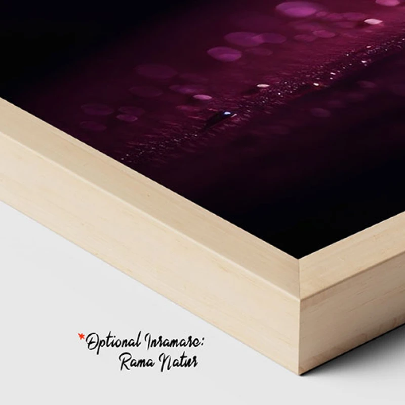 Felii de portocala - Tablou Food