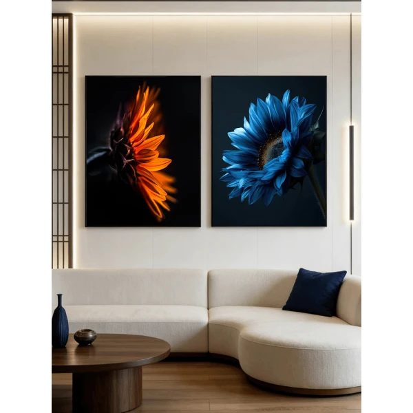 Contraste Absolute - Set 2 Tablouri