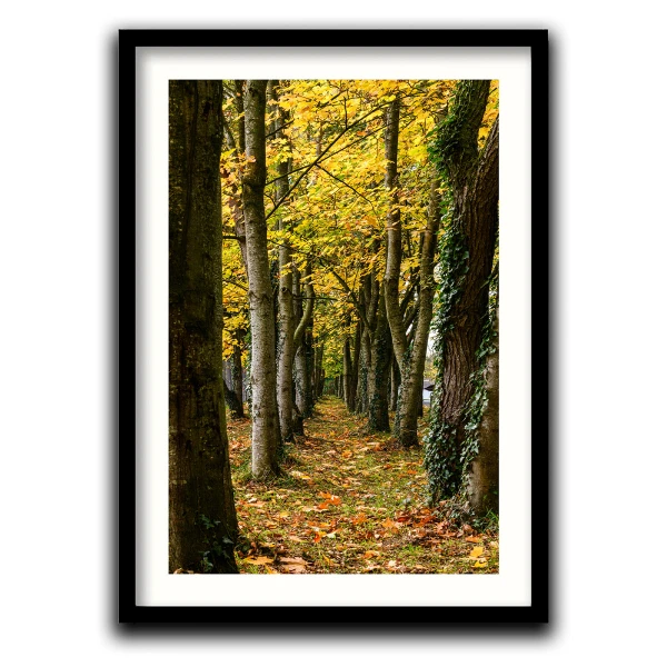 Cararea Uitata - Tablou peisaj