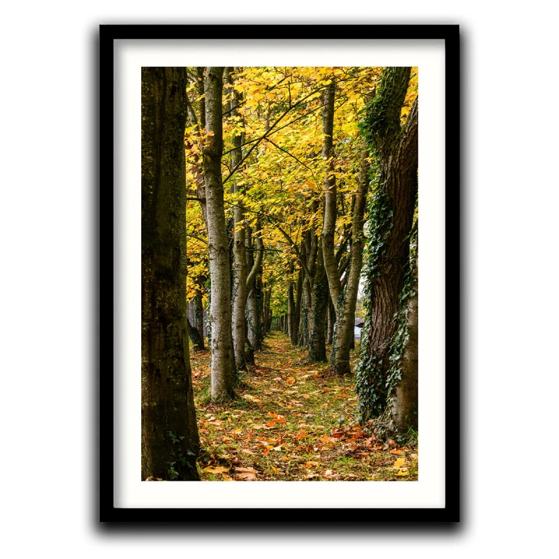 Cararea Uitata - Tablou peisaj