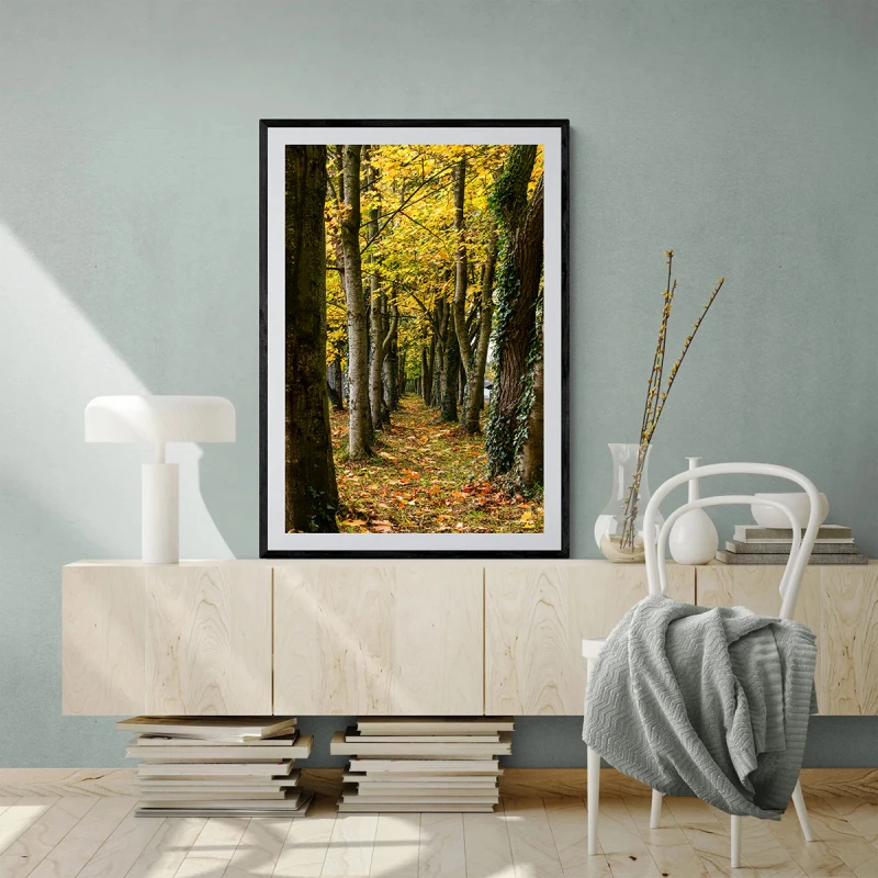 Cararea Uitata - Tablou peisaj