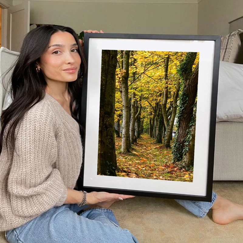 Cararea Uitata - Tablou peisaj