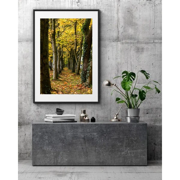 Cararea Uitata - Tablou peisaj