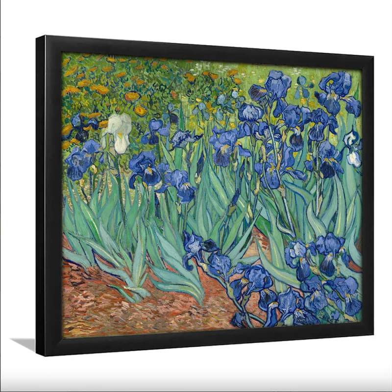 Tablou Vincent van Gogh - Iriși, tablou reproducere înrămat atmosferă caldă pentru livingul, biroul sau dormitorul tău Tablou Vincent van Gogh - Iriși, tablou reproducere înrămat atmosferă caldă pentru livingul, biroul sau dormitorul tău