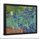 Tablou Vincent van Gogh - Iriși, tablou reproducere înrămat atmosferă caldă pentru livingul, biroul sau dormitorul tău Tablou Vincent van Gogh - Iriși, tablou reproducere înrămat atmosferă caldă pentru livingul, biroul sau dormitorul tău