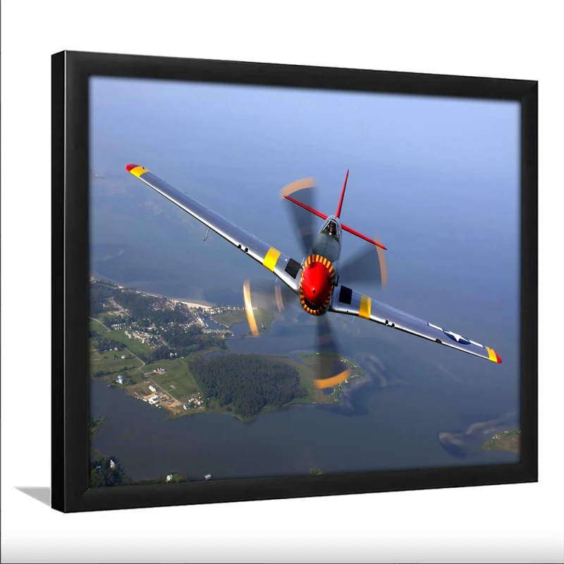 Tablou Avion Epocă P-51 Mustang Înramat