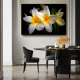 Plumeria Alb cu Galben - Tablou floral