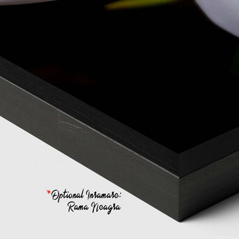 Plumeria Alb cu Galben - Tablou floral