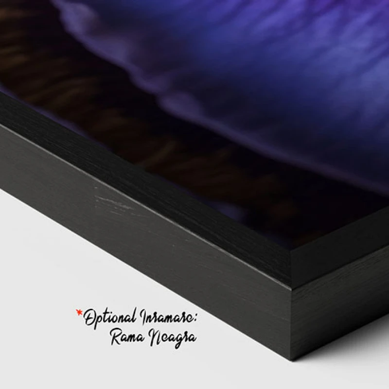 Orhidee Mov - Tablou floral