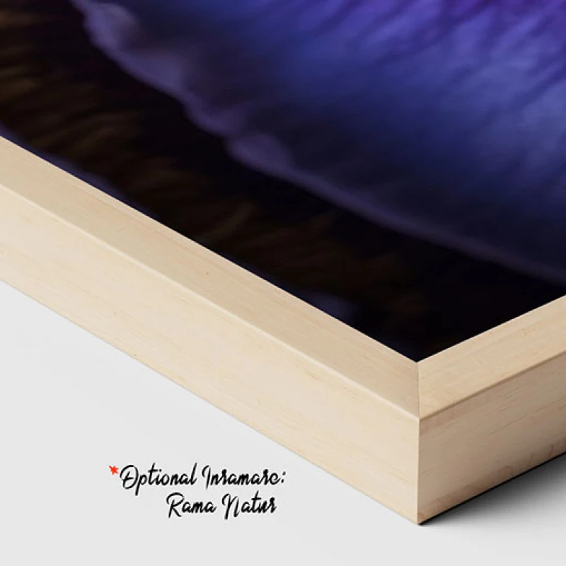 Orhidee Mov - Tablou floral