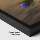 Flori Albastre de In Linum Perenne - Tablou floral