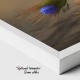 Flori Albastre de In Linum Perenne - Tablou floral