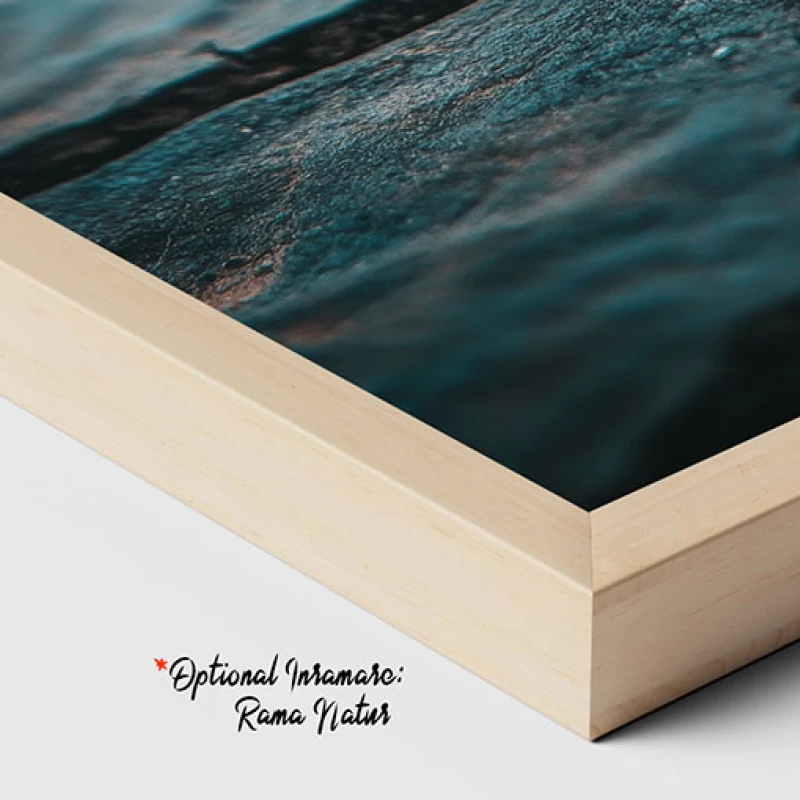 Tablou canvas cu flori - Renașterea Naturii, tablou ideal pentru dormitoare primitoare sau saloane luminoase Tablou canvas cu flori - Renașterea Naturii, tablou ideal pentru dormitoare primitoare sau saloane luminoase