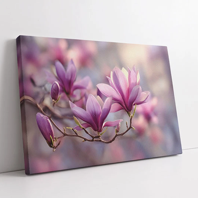 Arcade Violet - Tablou cu flori