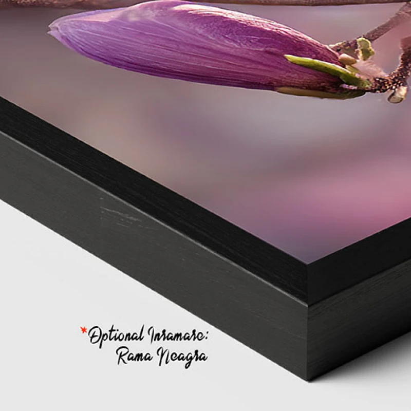 Arcade Violet - Tablou cu flori