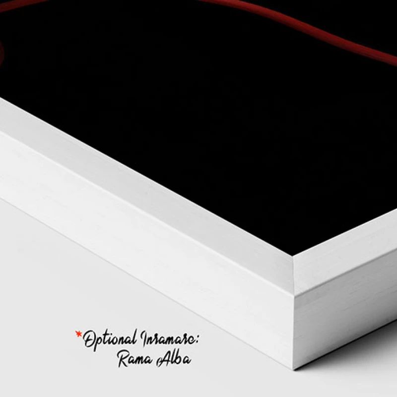 Aromă de maci - Tablou cu flori