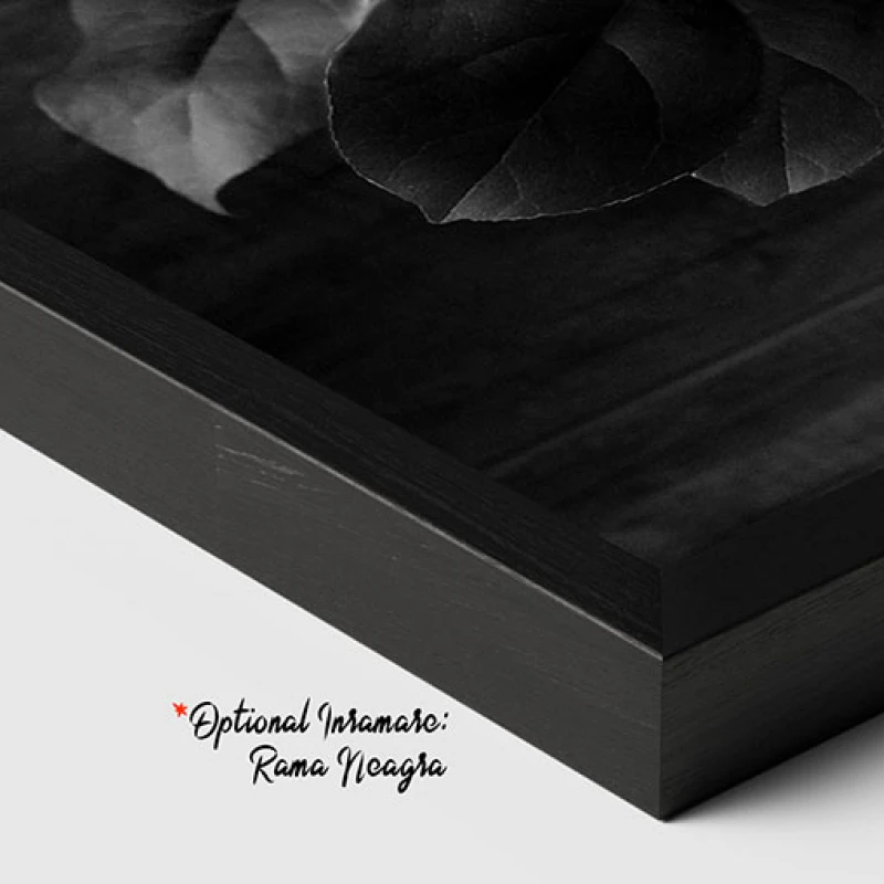 Flori intr-o Vaza - Tablou floral