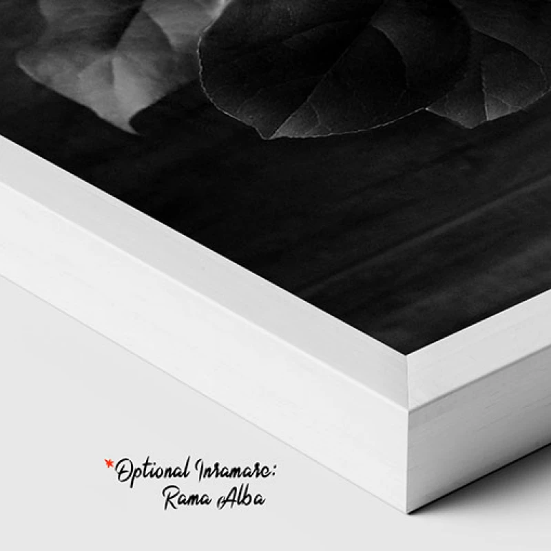 Flori intr-o Vaza - Tablou floral