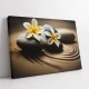 Tablou floral - Zen Stones, tablou cu flori pentru spații moderne și relaxante Tablou floral - Zen Stones, tablou cu flori pentru spații moderne și relaxante